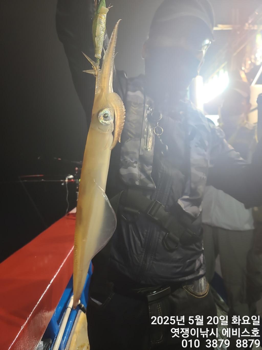 F2680669QM.jpg