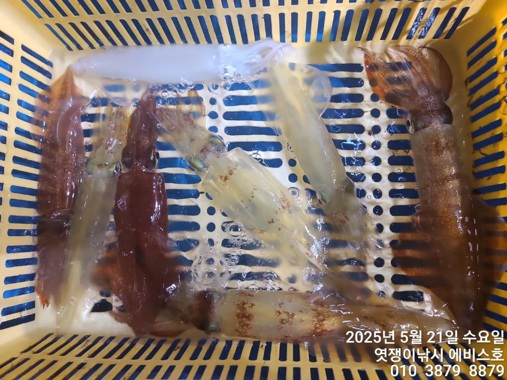 F2680678UH.jpg