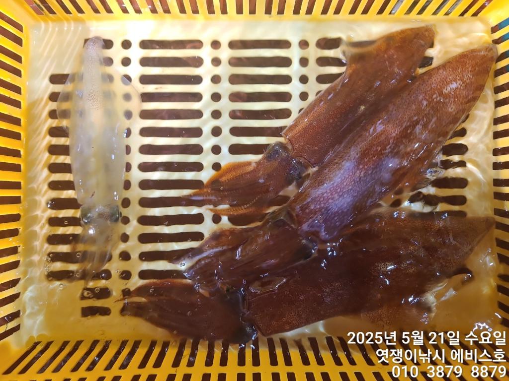 F26806813I.jpg