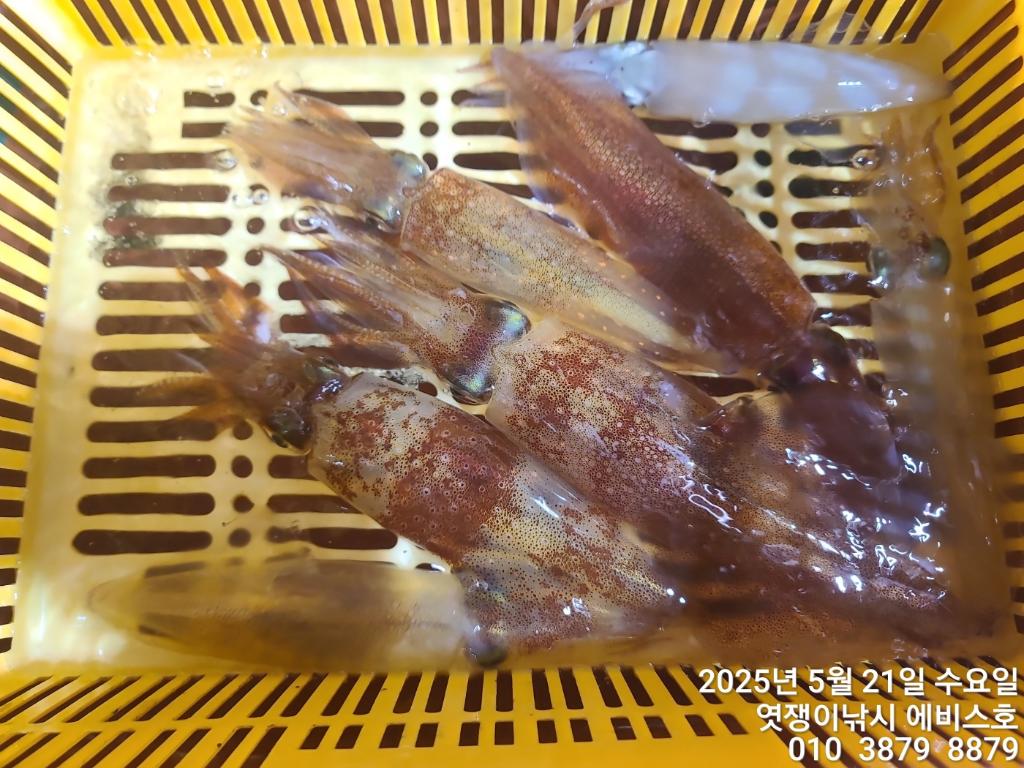 F2680683UE.jpg