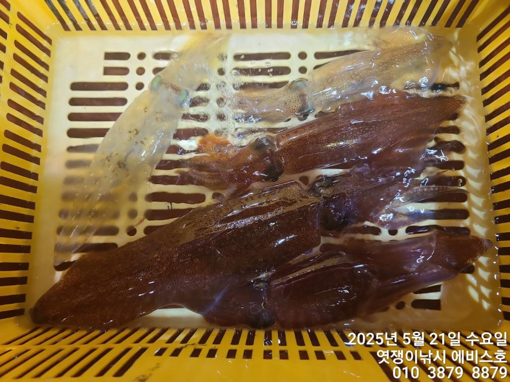 F26806865H.jpg