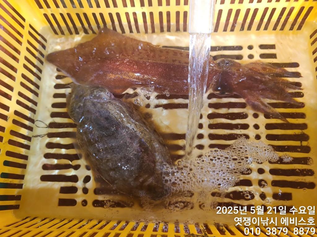 F2680688SS.jpg