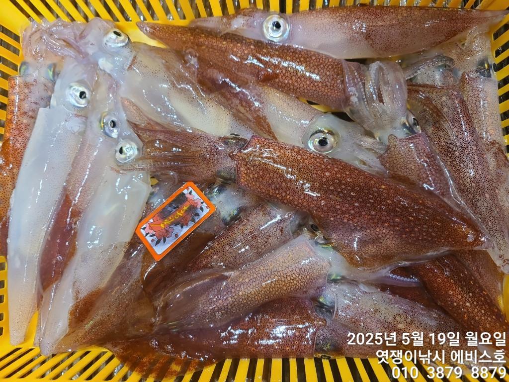 F2680711ZT.jpg