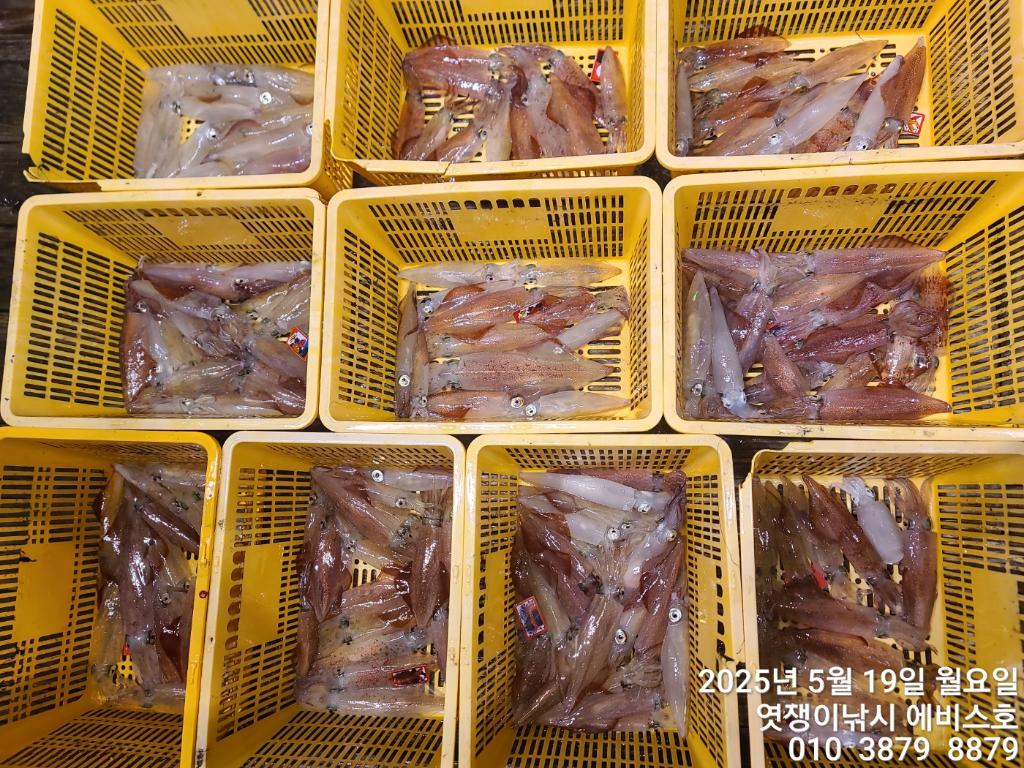 F2680718MI.jpg