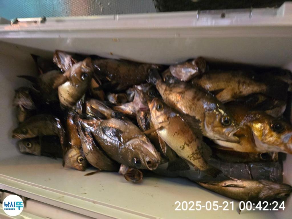 F2680822KL.jpg