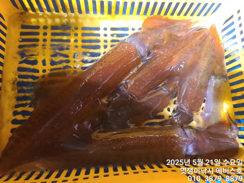 F2680685GO.jpg