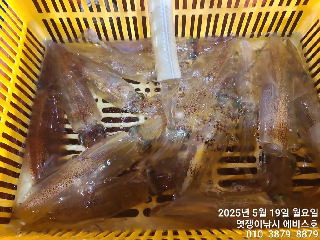 F26807035G.jpg