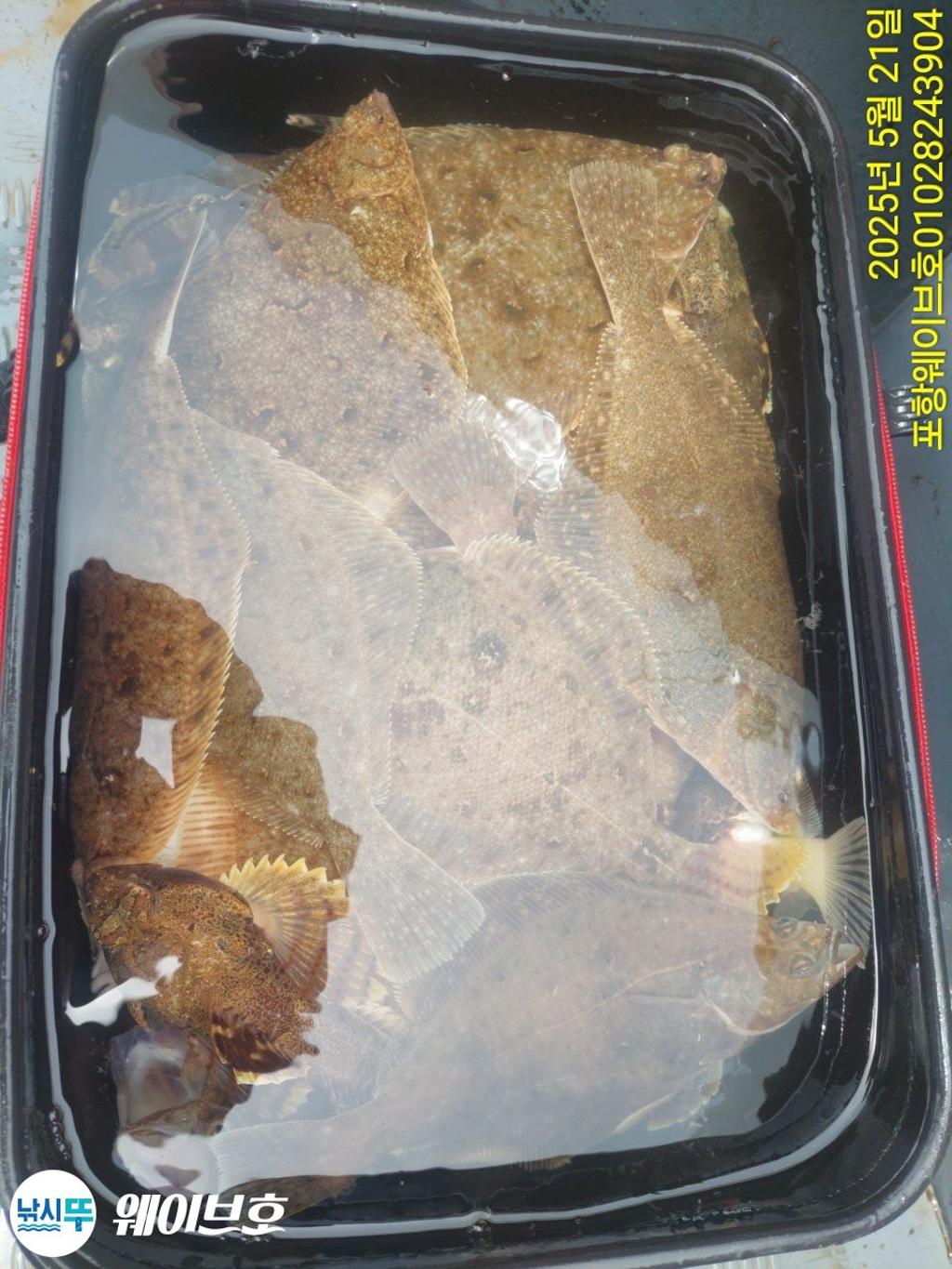 F26810117T.jpg