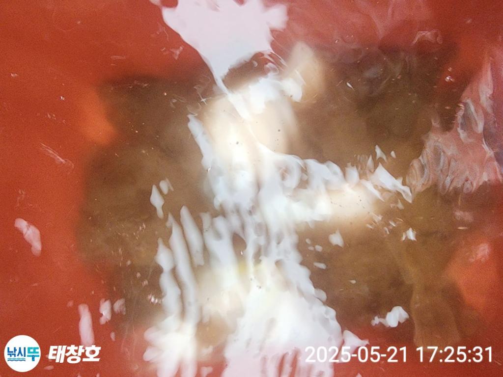 F2681050Y5.jpg