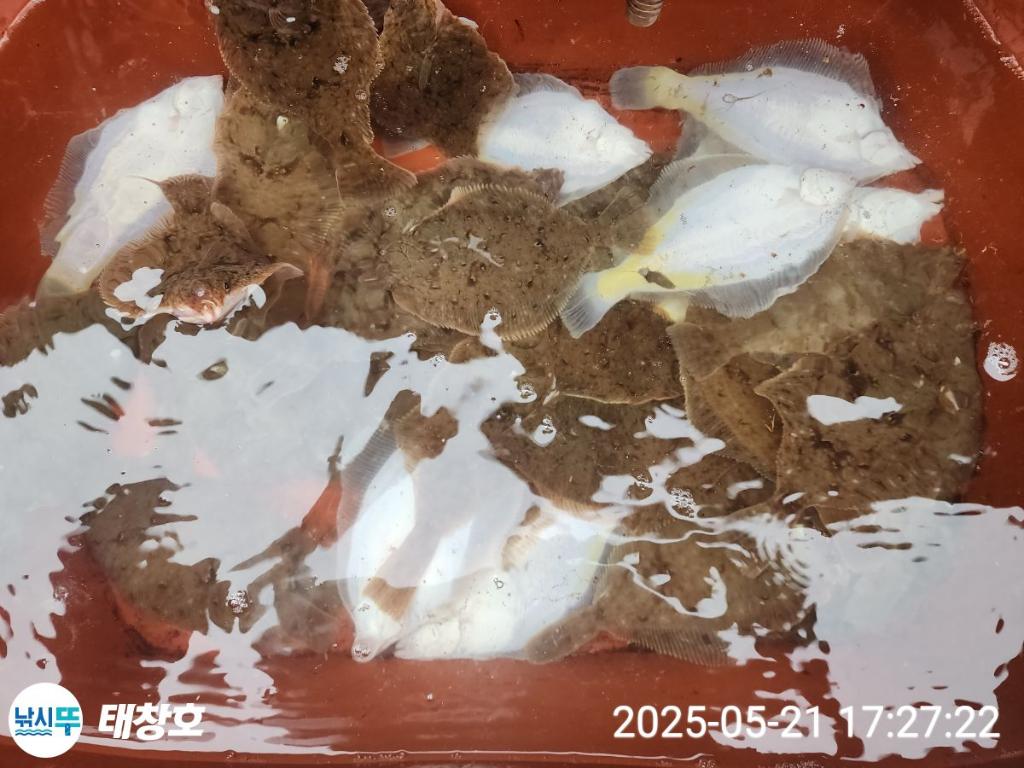 F2681052Z1.jpg
