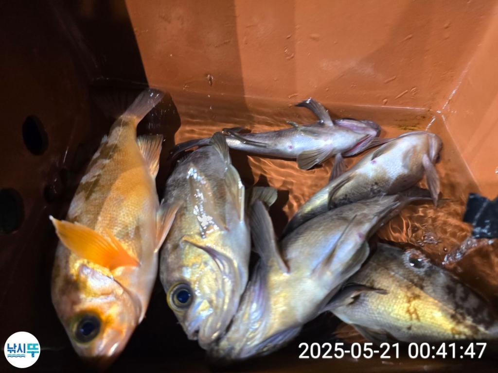 F2681078CR.jpg
