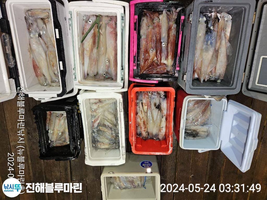 F2681106DY.jpg