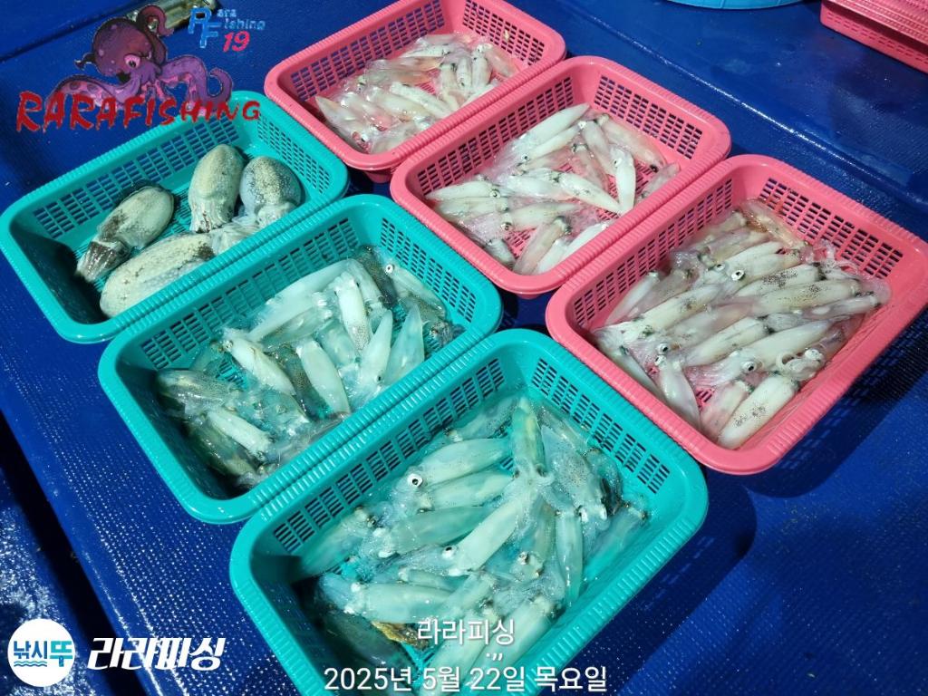 F2681150MN.jpg