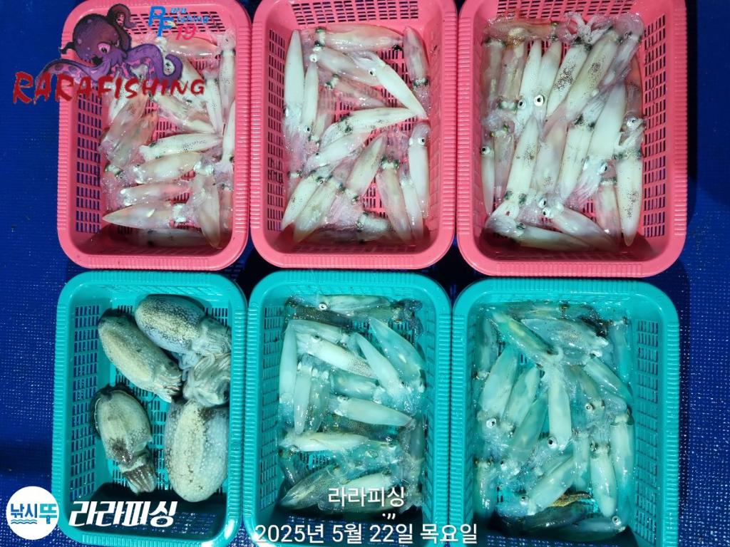 F2681152MG.jpg