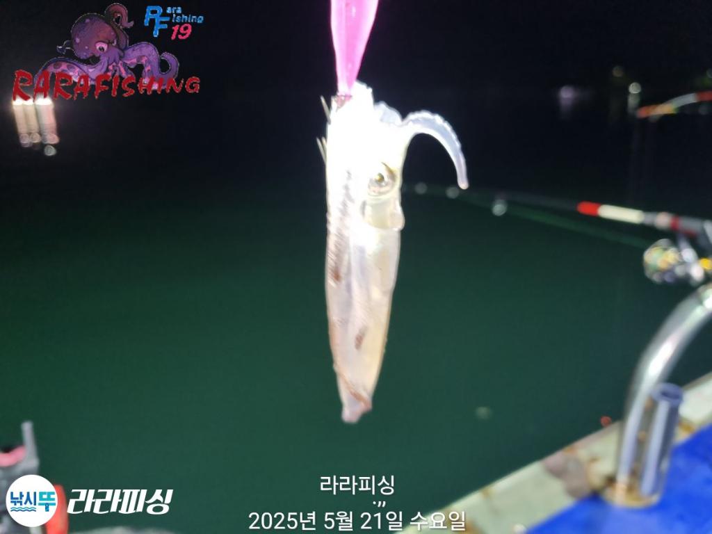 F2681154CN.jpg