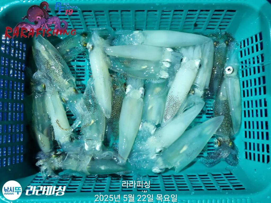 F2681163C0.jpg