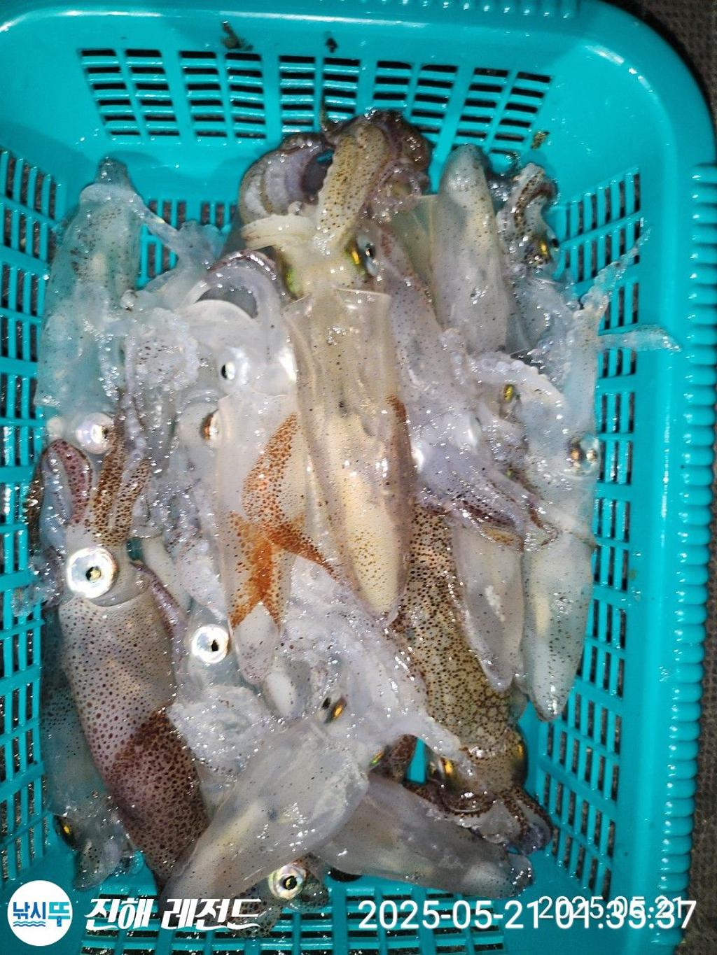 F2681224JI.jpg