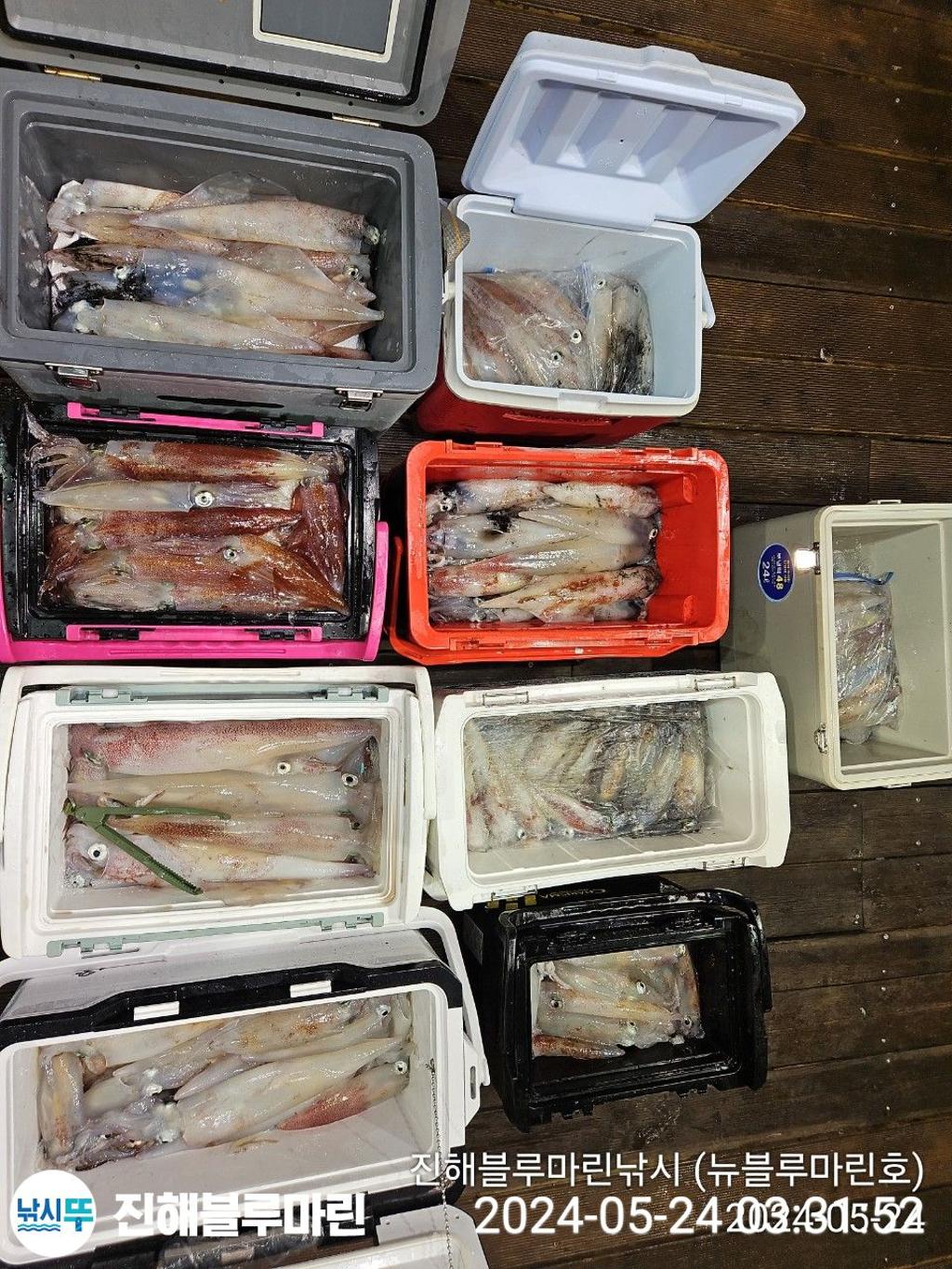 F268123100.jpg