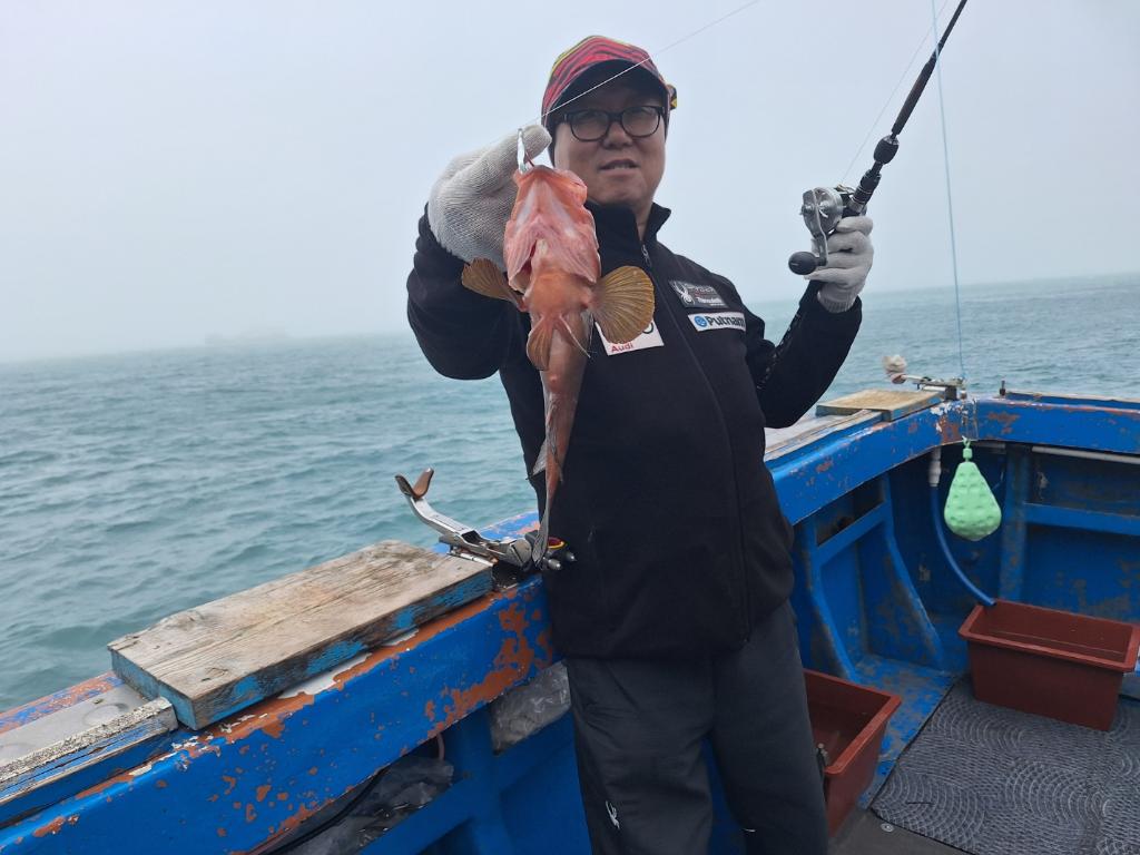 F2681255JY.jpg