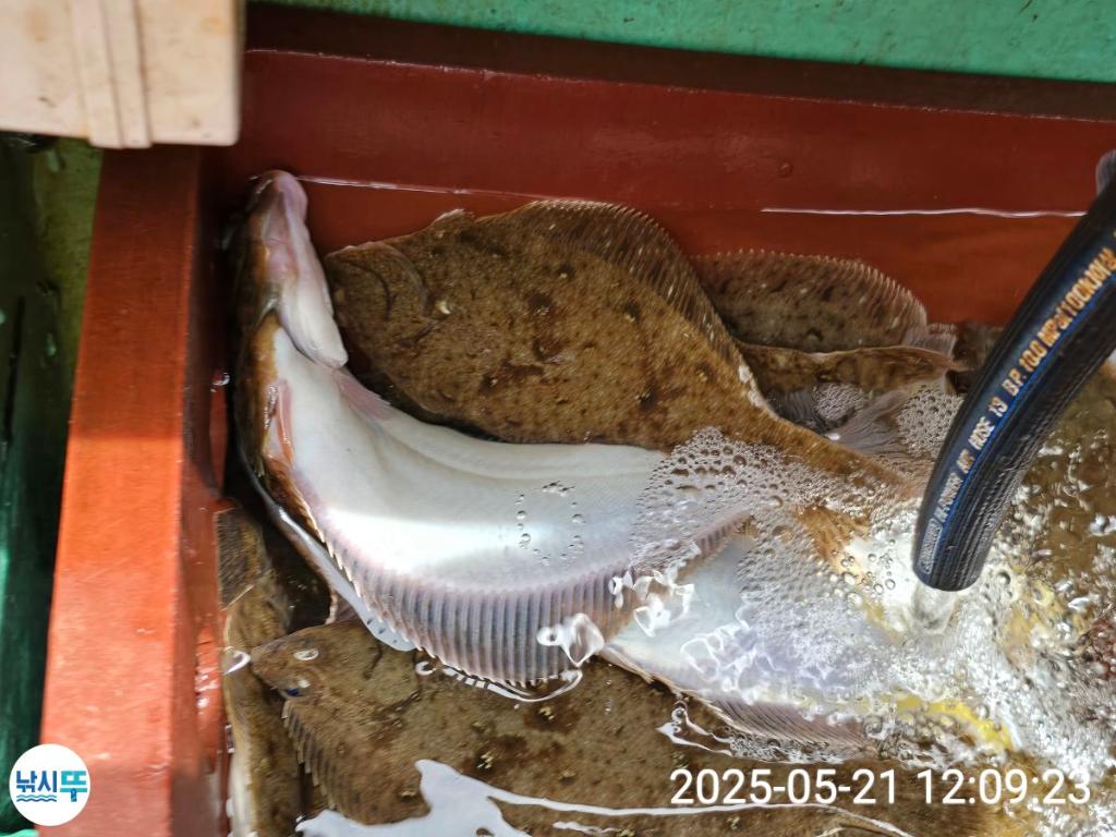 F2681270O9.jpg