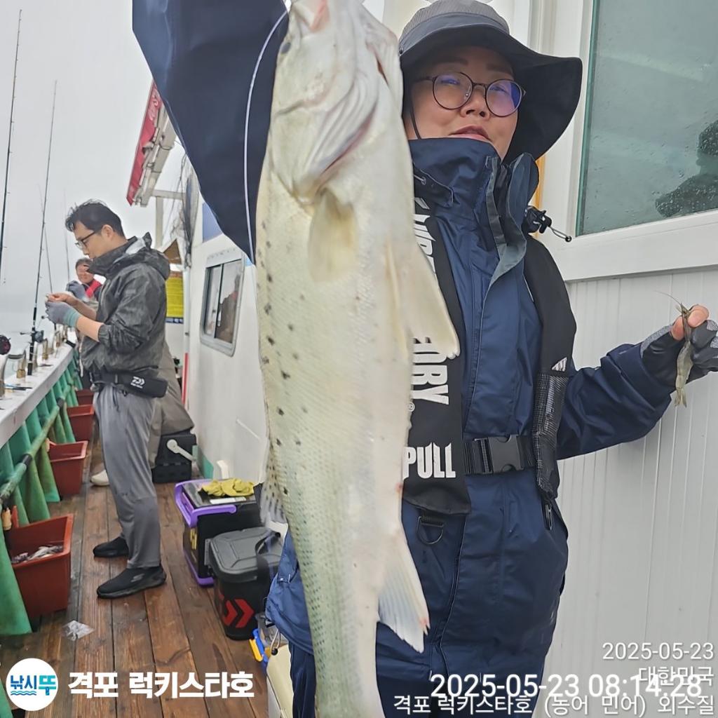 F2681457KU.jpg