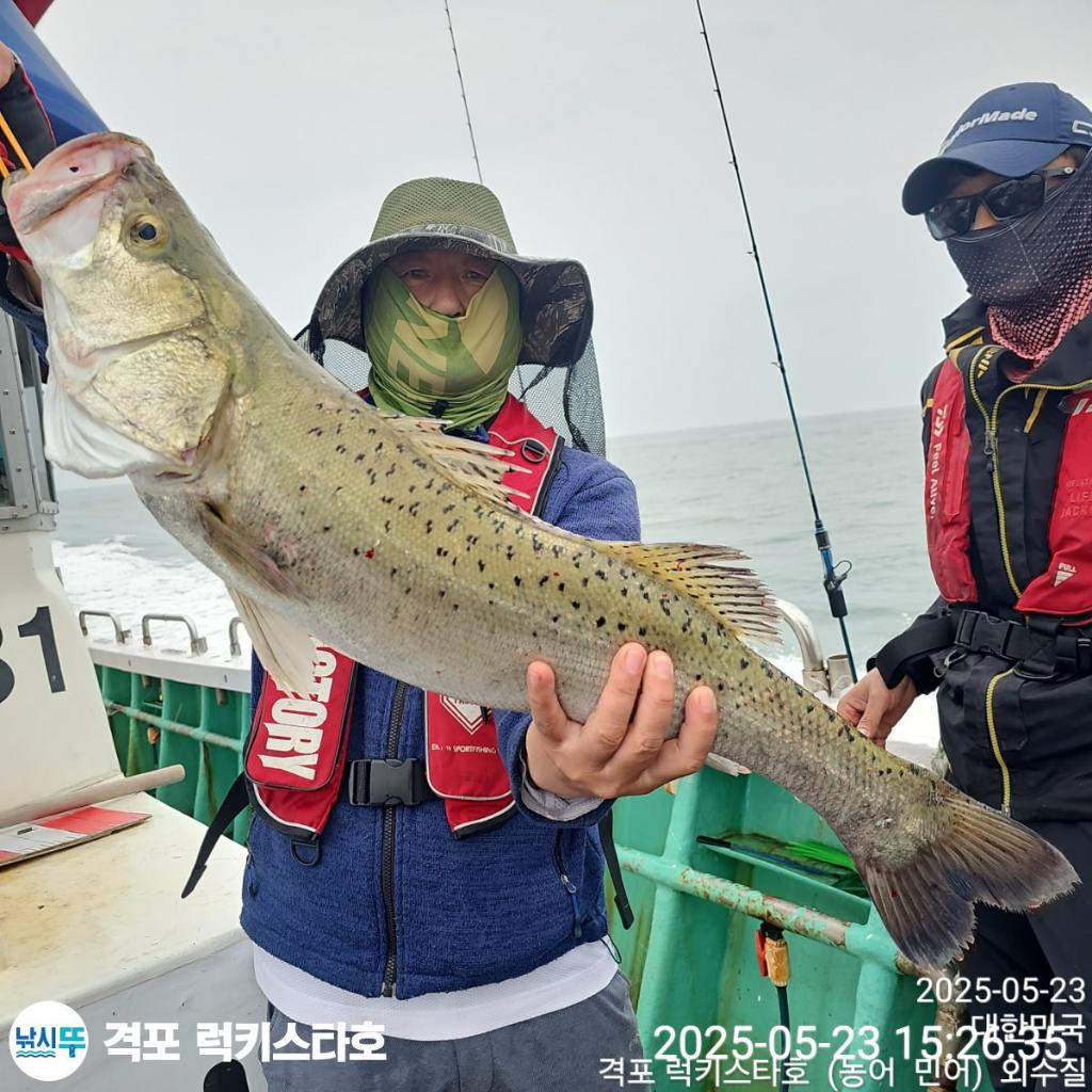 F26814607W.jpg