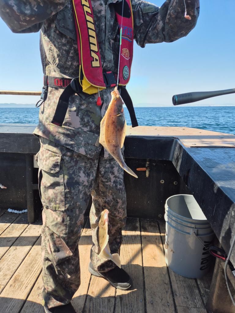F2681573P7.jpg