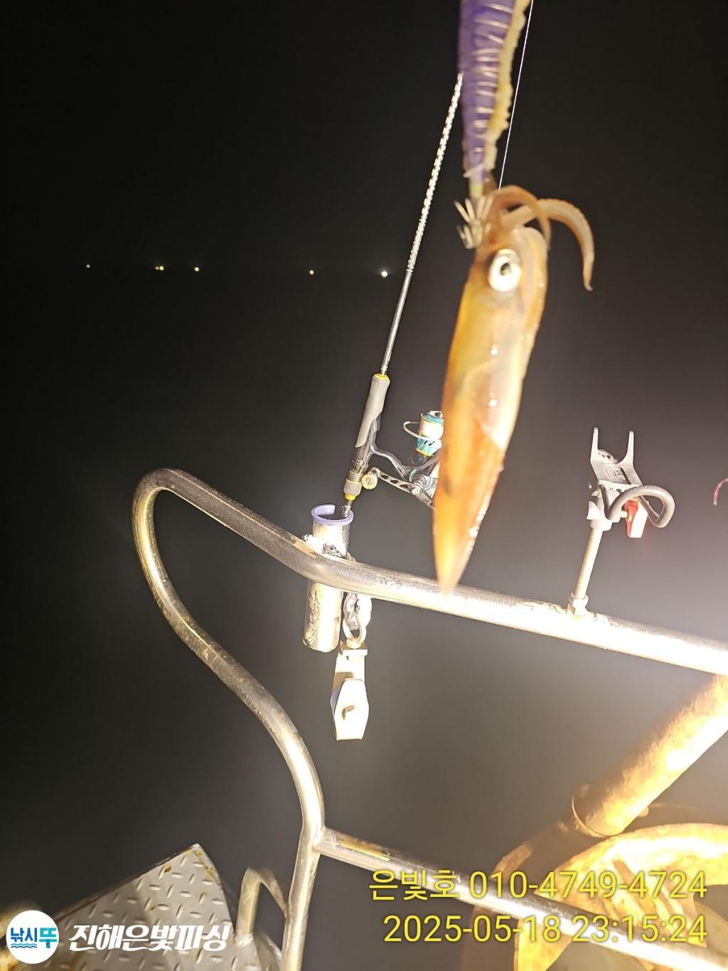 F2681597IX.jpg