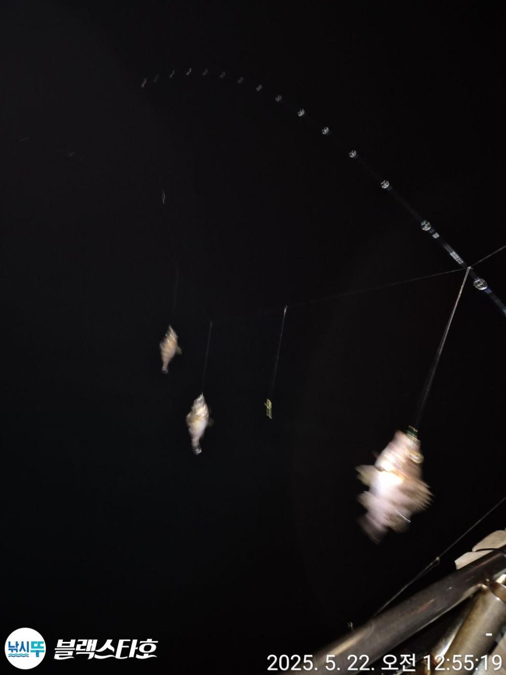 F2681783Z6.jpg