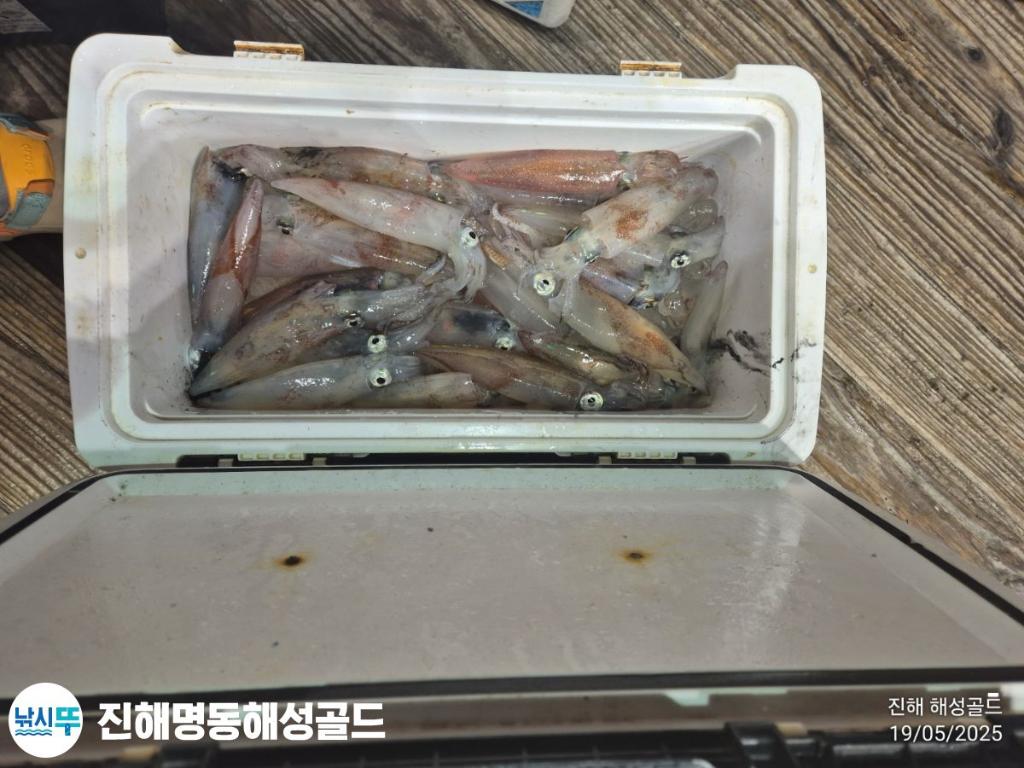 F2681790T5.jpg