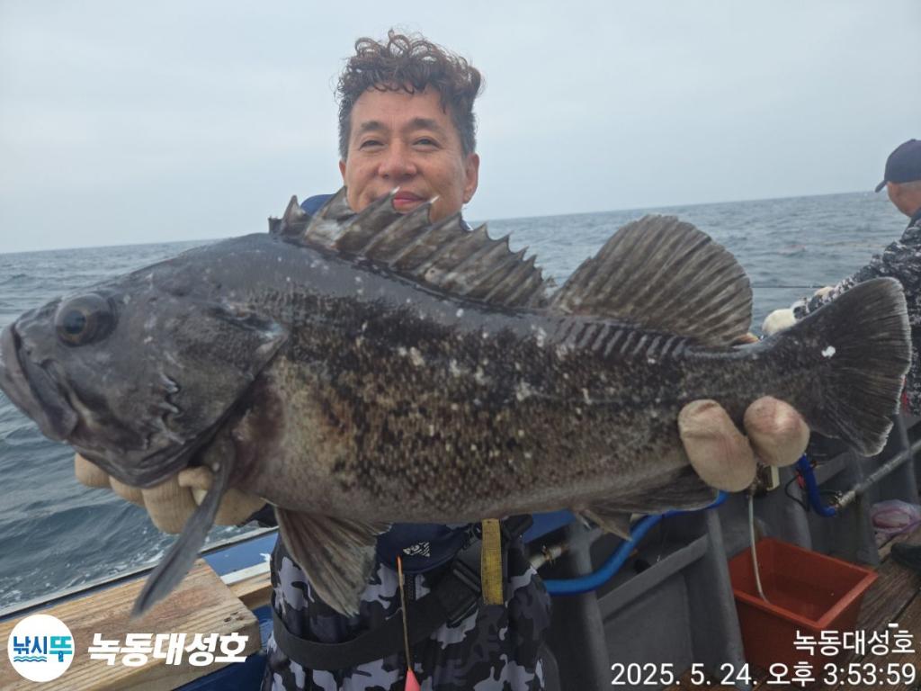 F2682029YS.jpg