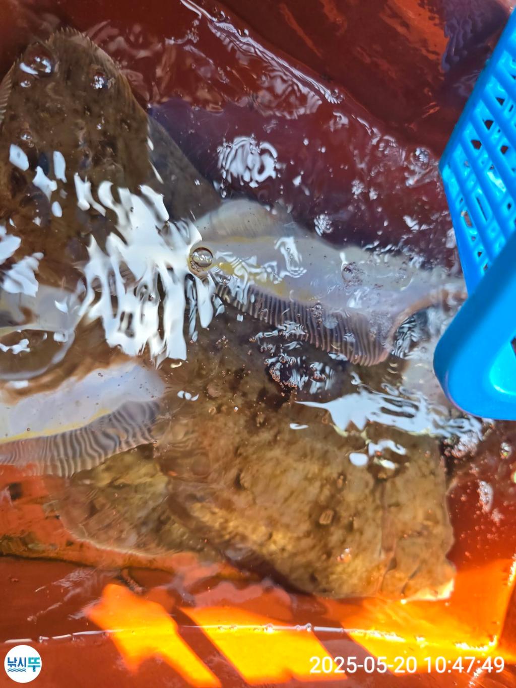 F2682123B7.jpg