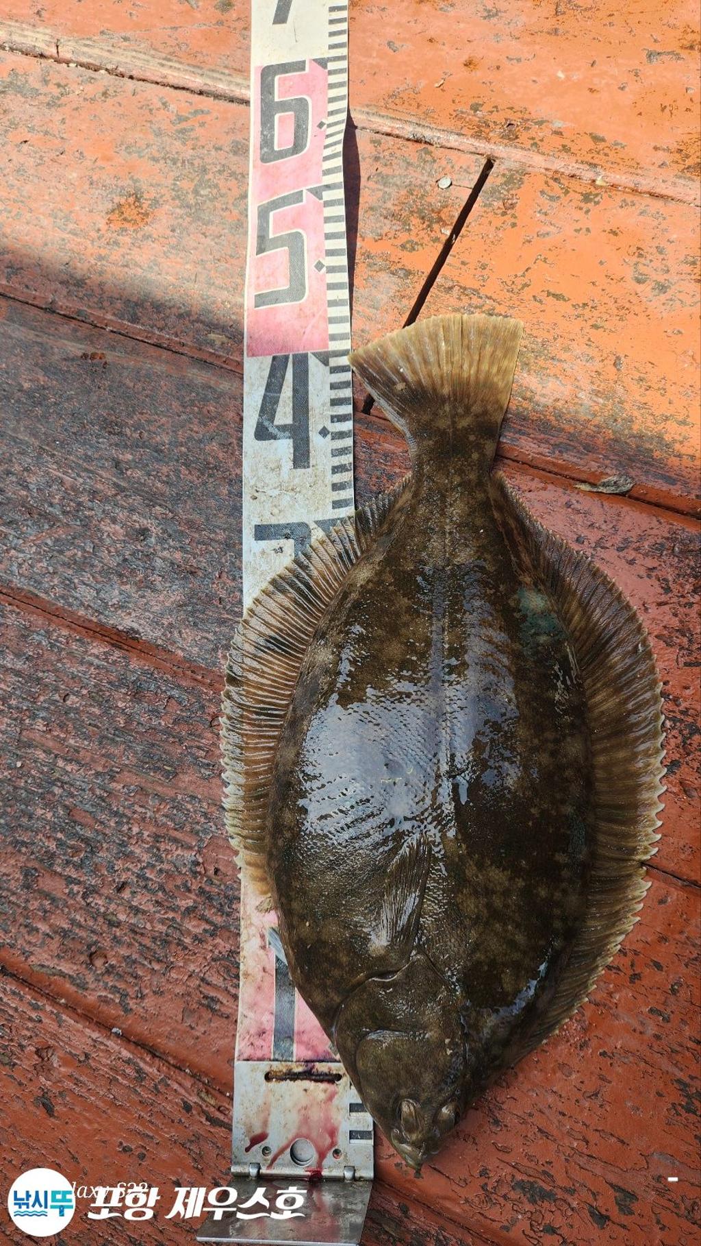 F26821994P.jpg