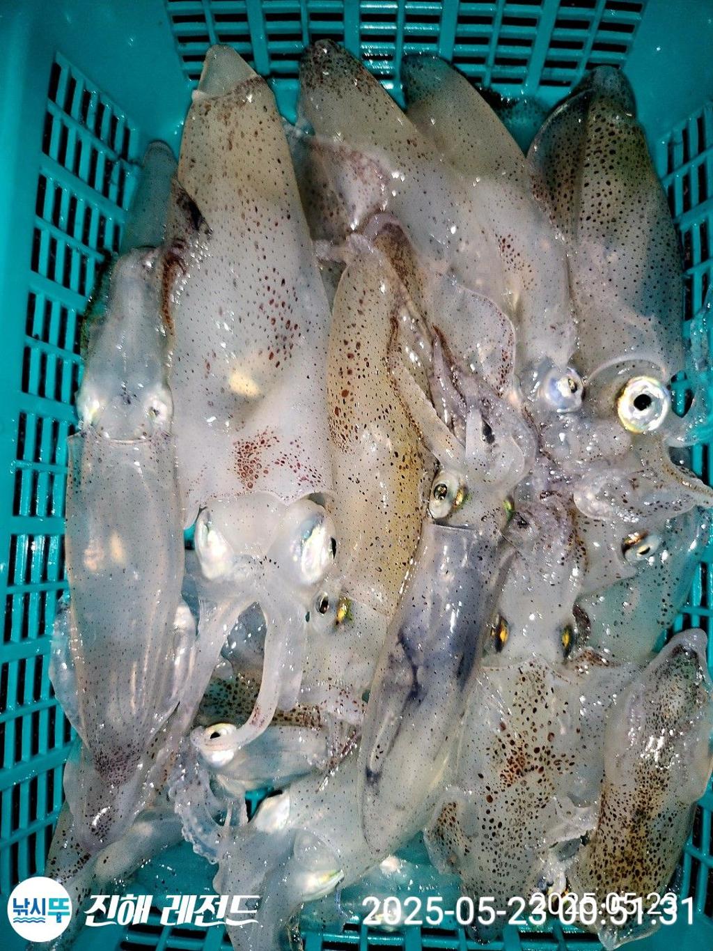 F2682404YZ.jpg