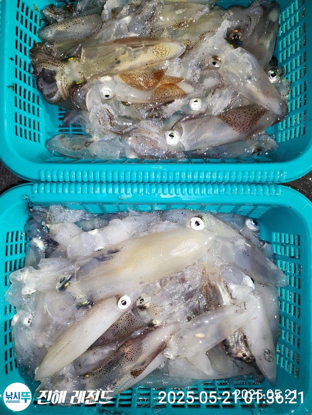 F2682407EW.jpg