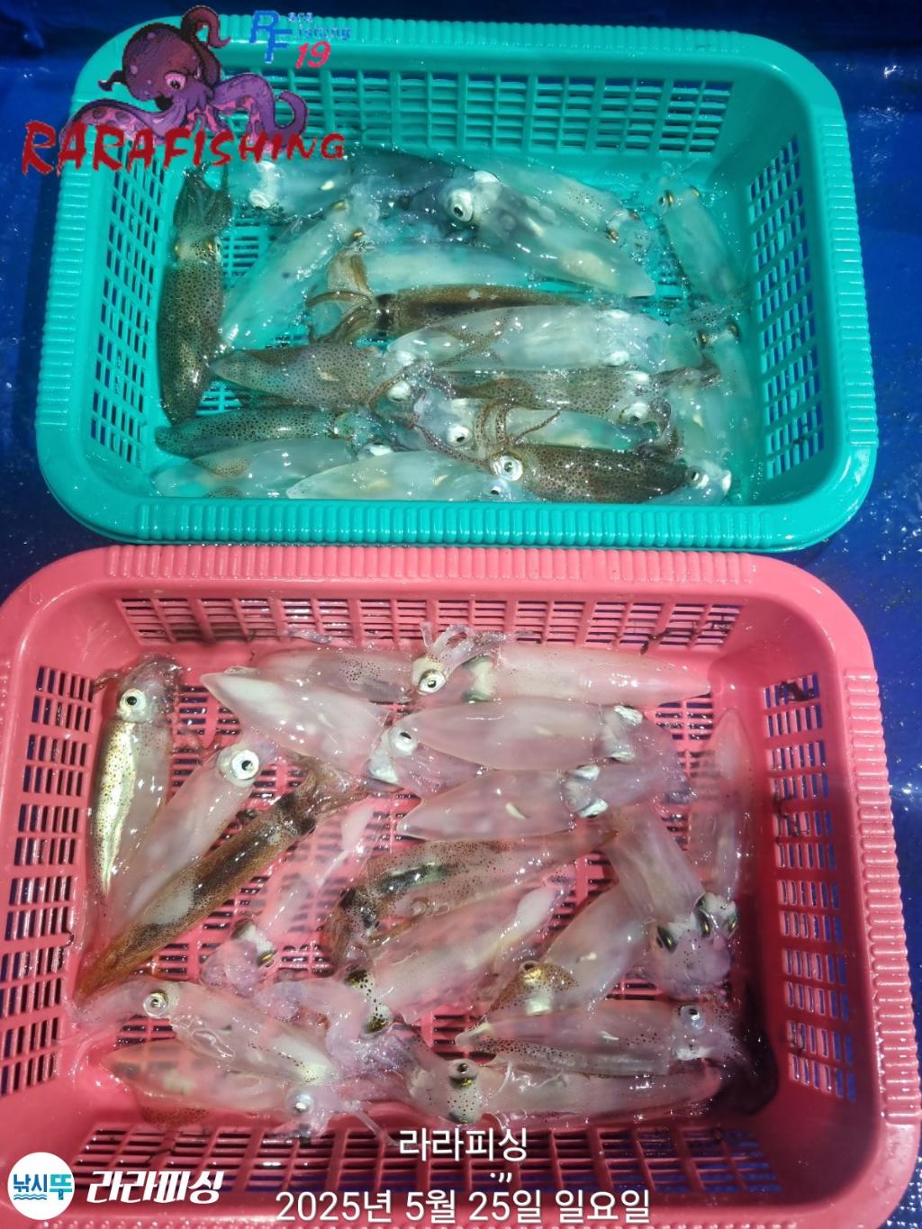 F26824172J.jpg