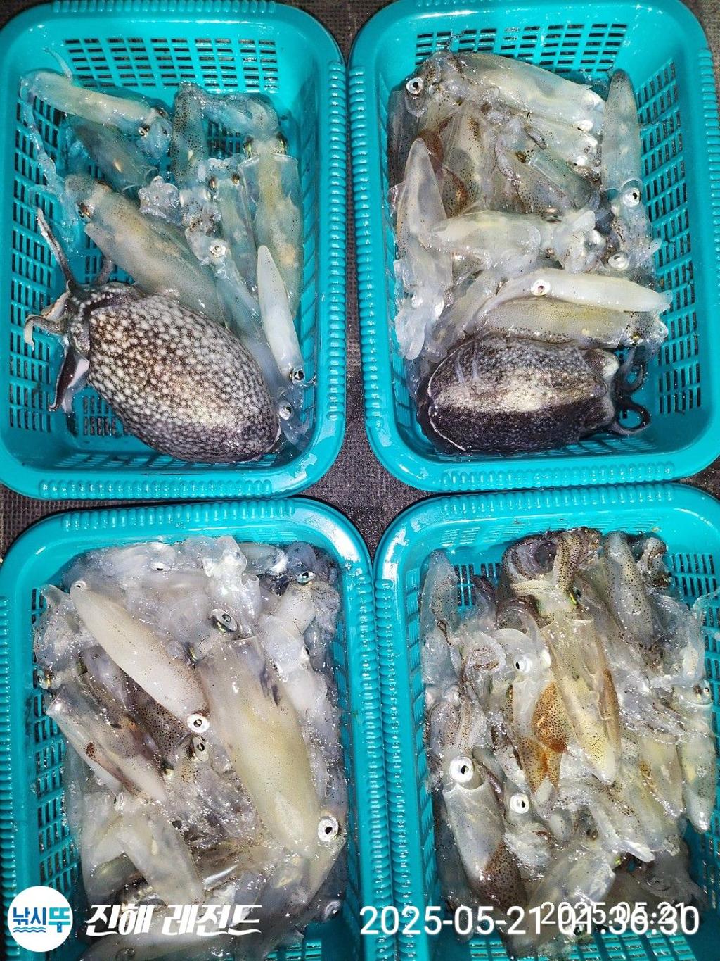 낚시뚜,기타 (직접입력),진해명동항,진해 레전드,낚시뚜2