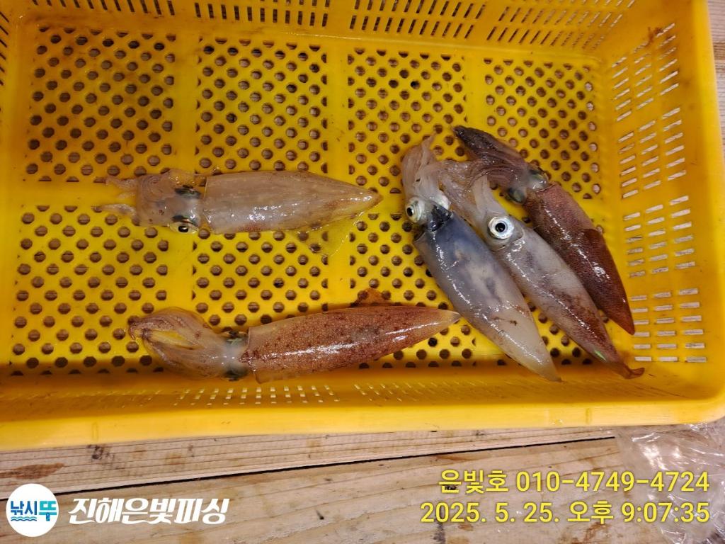F2682531RP.jpg