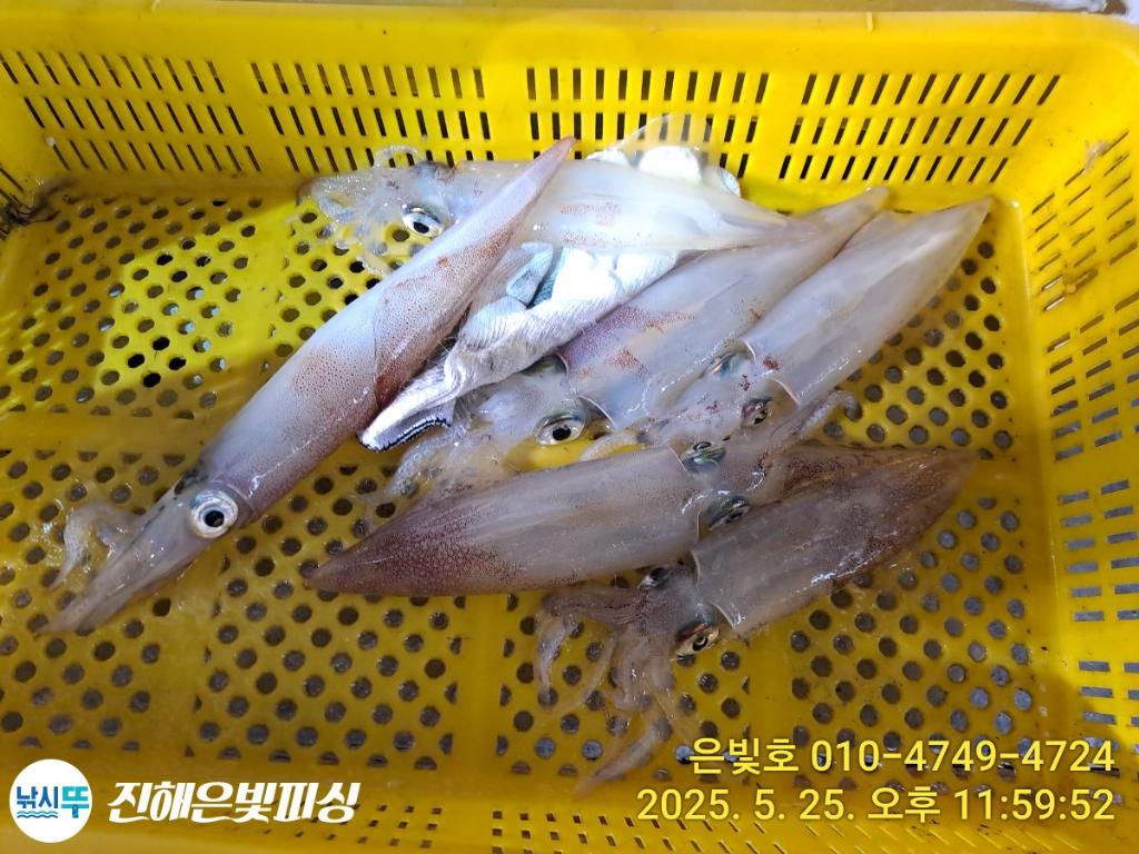 F2682539H5.jpg