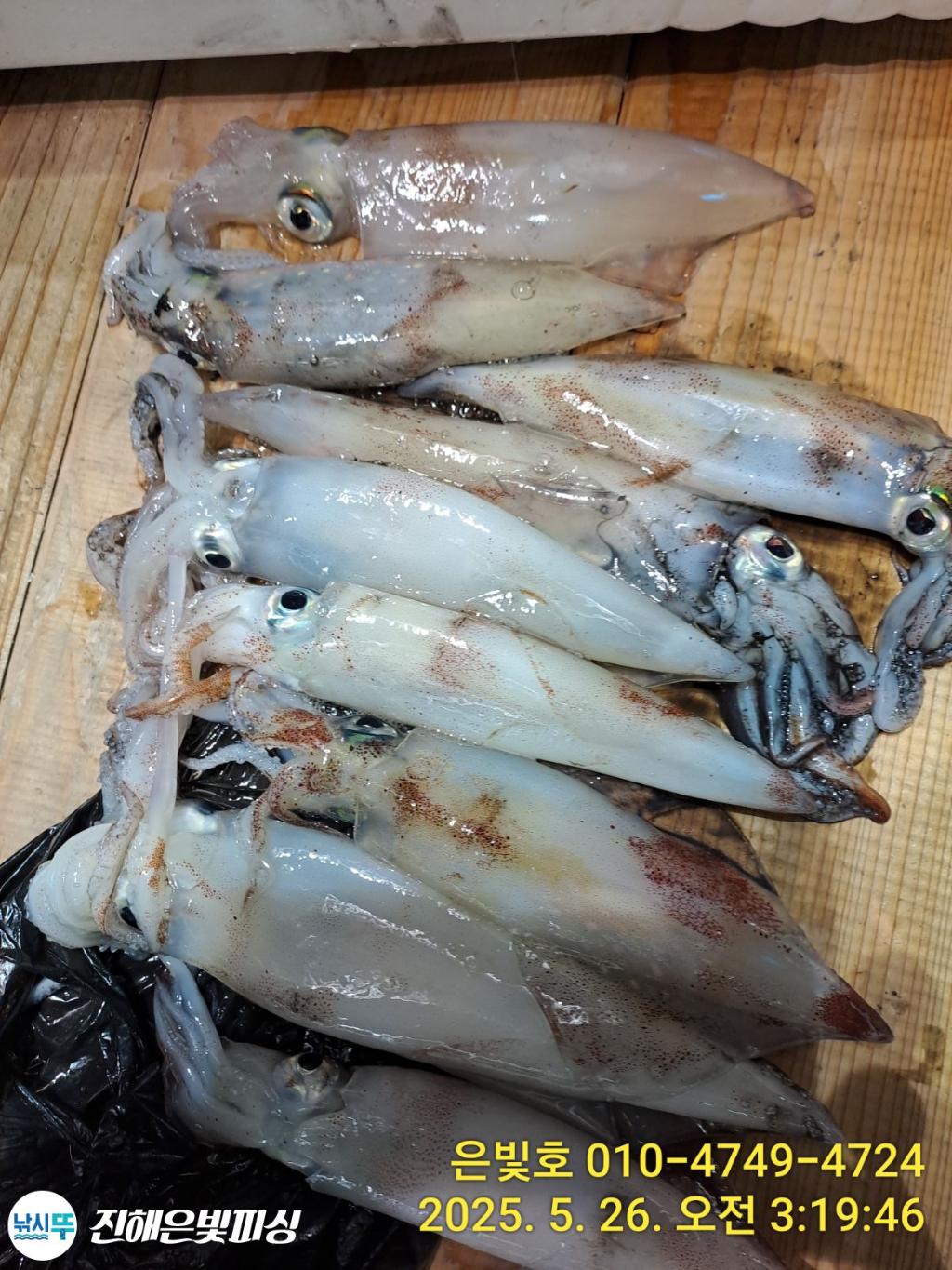 F2682547RH.jpg