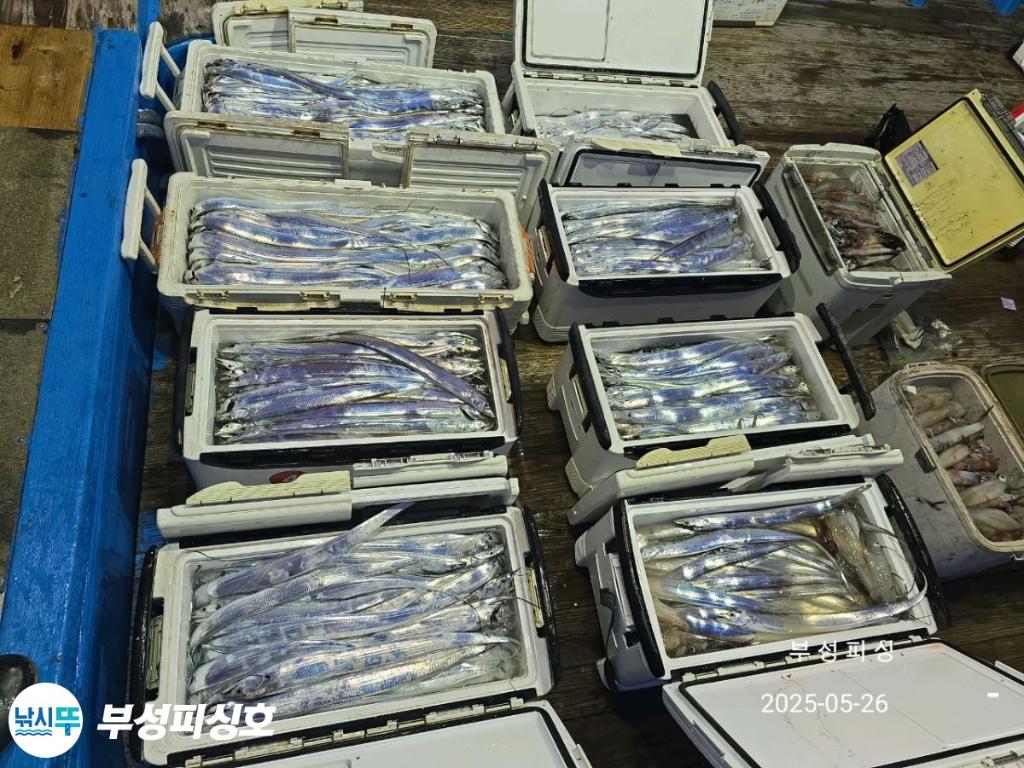 F268256138.jpg