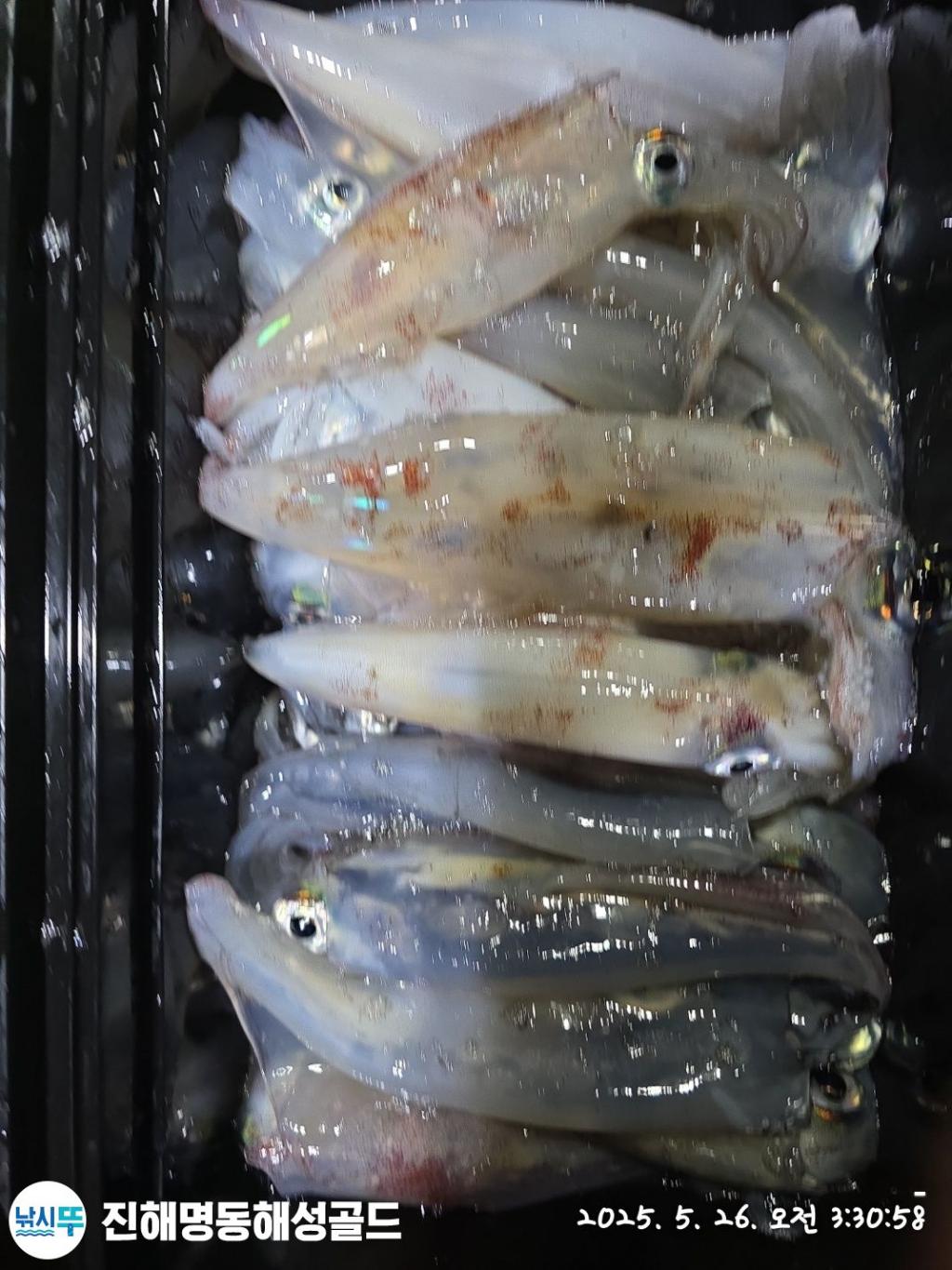 F2682578L7.jpg
