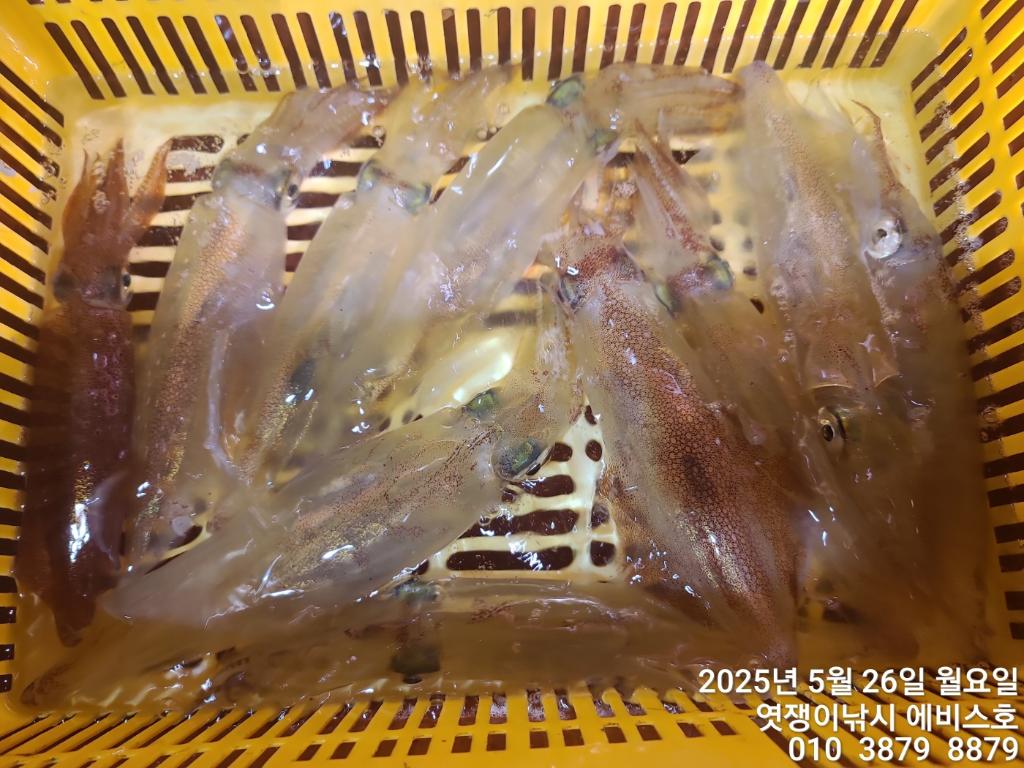 F26826513W.jpg