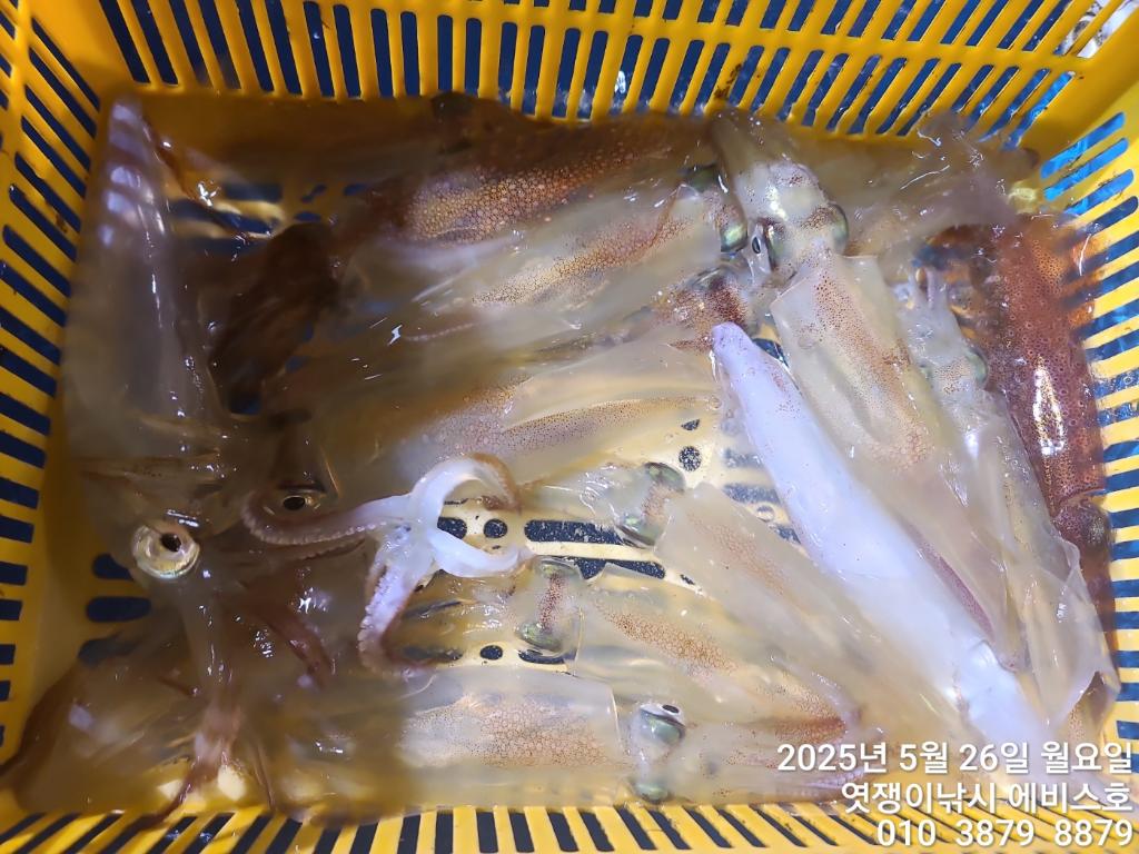 F26826548B.jpg