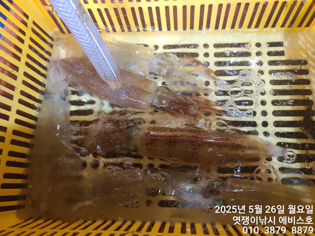 F2682656UX.jpg