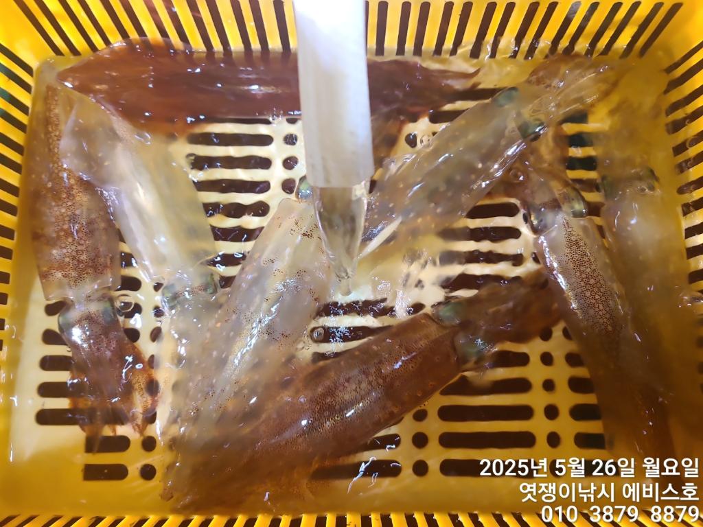 F2682658XH.jpg