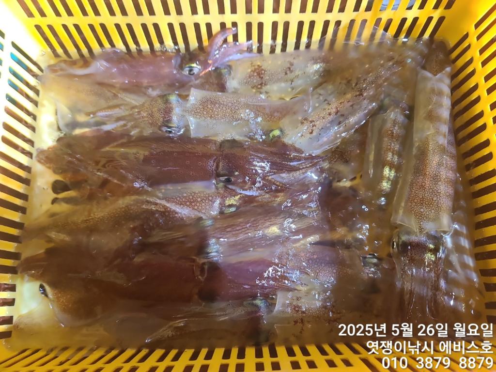 F2682664ID.jpg