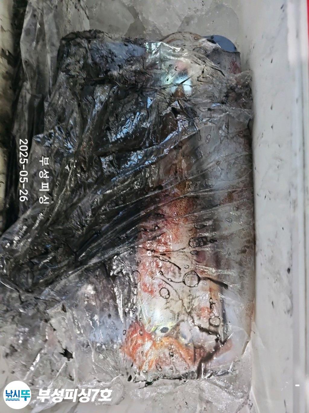 F2682693U7.jpg