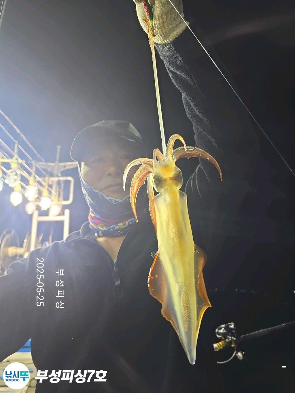 F2682709RB.jpg