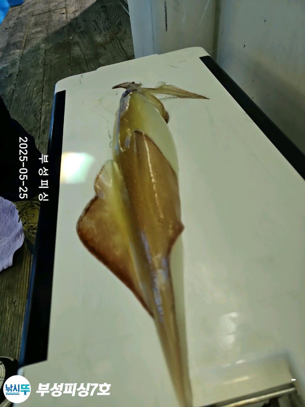 F26827142W.jpg